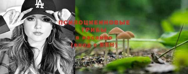 ГАЛЛЮЦИНОГЕННЫЕ ГРИБЫ Алексеевка