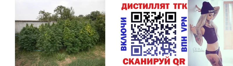 ТГК гашишное масло  Волгодонск 