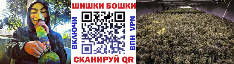 где продают наркотики  Волгодонск  Канабис конопля 